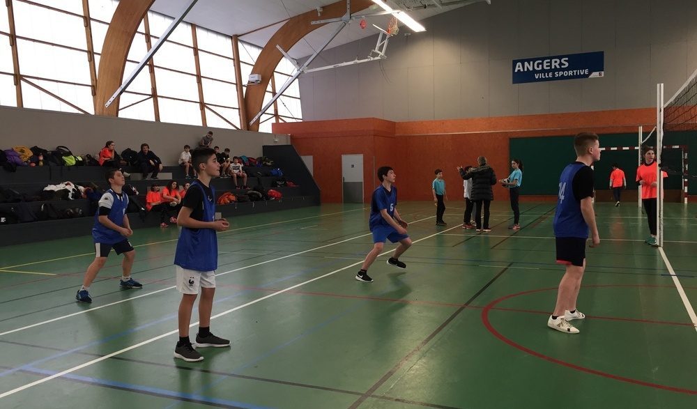 Compétition volley-ball à Angers