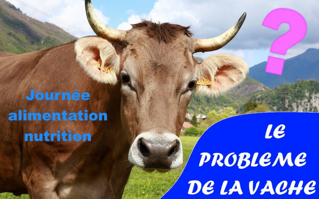 Le mystérieux problème de la vache