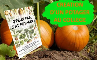 Création d’un potager au collège