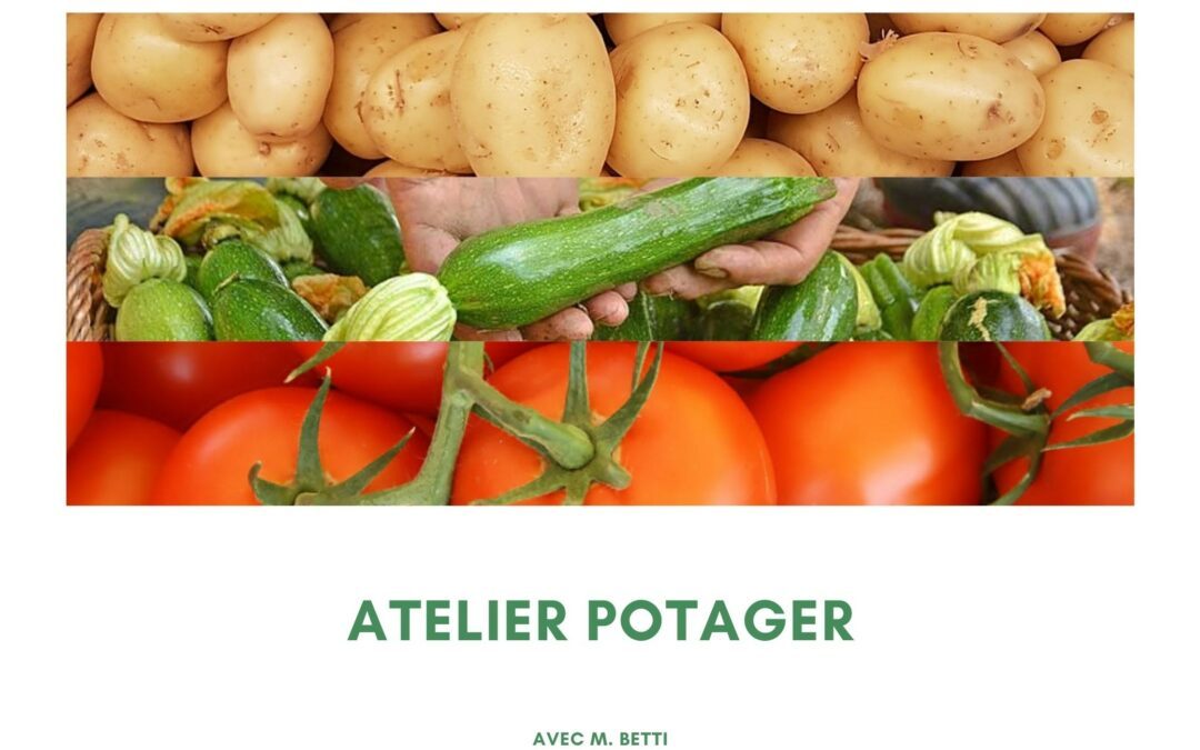 Présentation de l’Atelier Potager